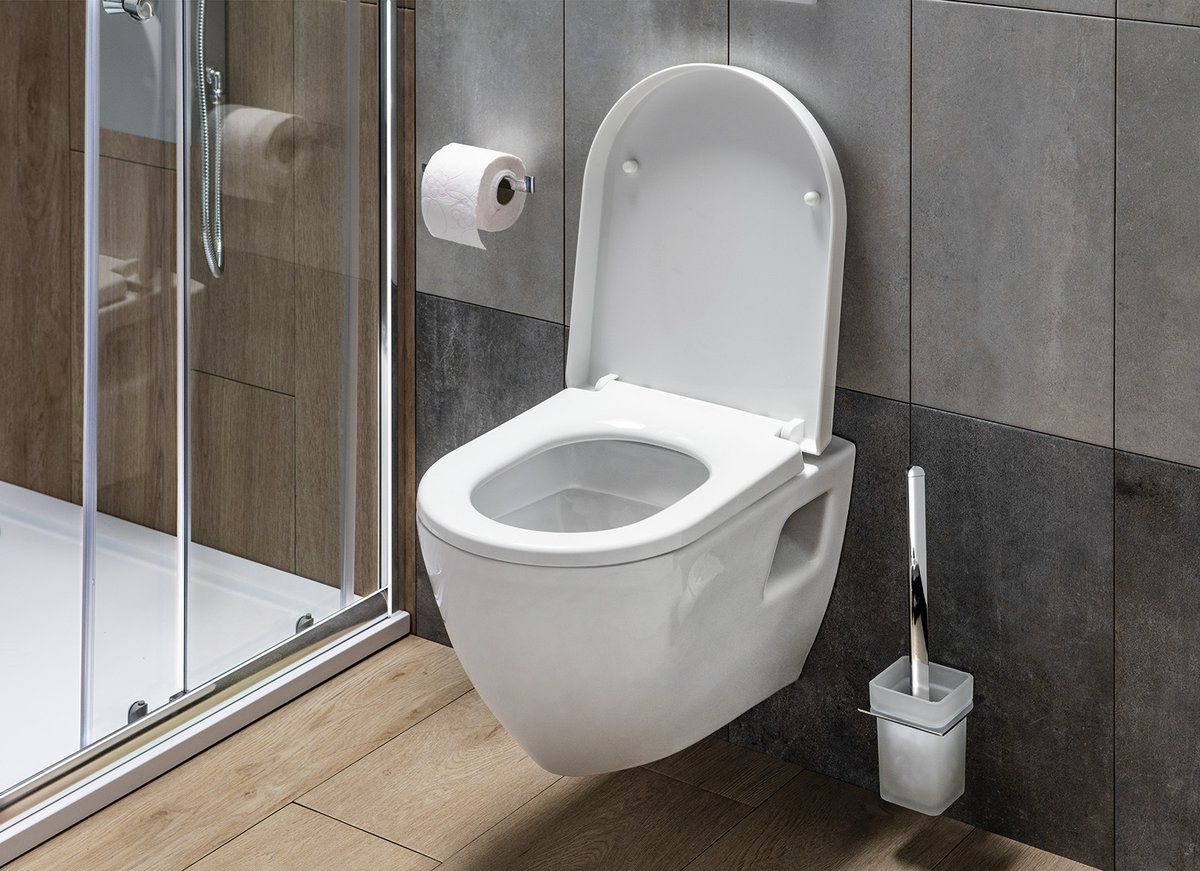 Aqualine DONA WC sedátko, Soft Close, Easy Take, bílá, v koupelně u WC