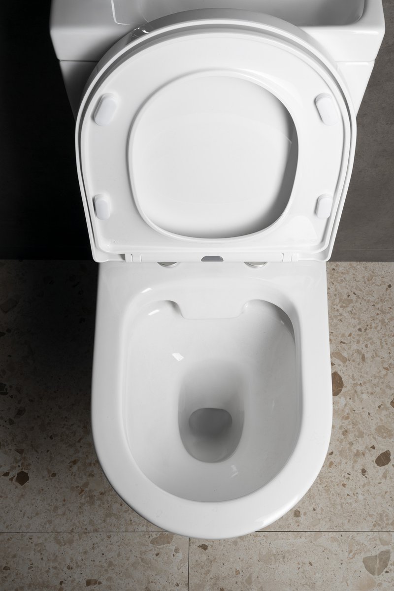 Aqualine JALTA HYGIE WC kombi s umývátkem, Rimless, spodní/zadní odpad, bílá, pohled shora s otevřeným sedátkem